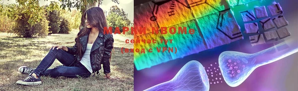 шишки Покачи