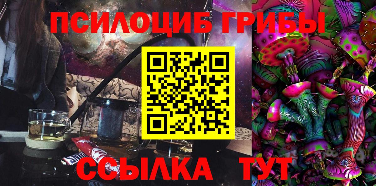Галлюциногенные грибы MAGIC MUSHROOMS Черняховск