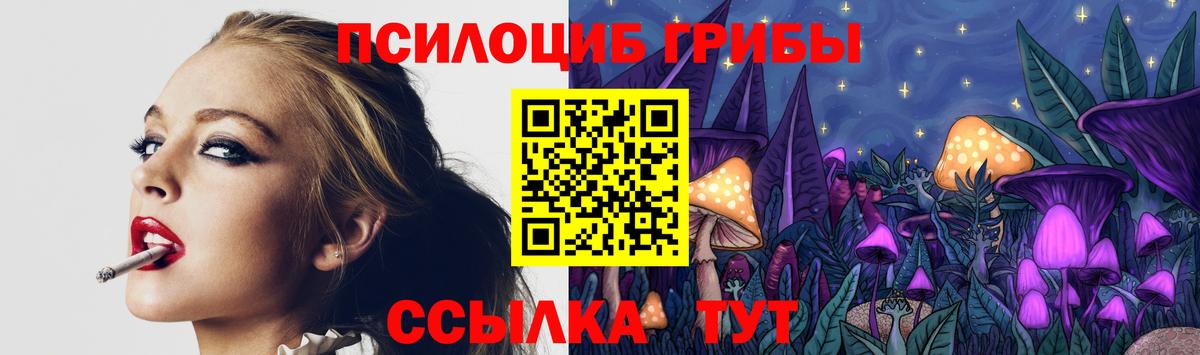 Галлюциногенные грибы MAGIC MUSHROOMS  Вход с VPN  Черняховск  Псилоцибиновые грибы Magic Shrooms 