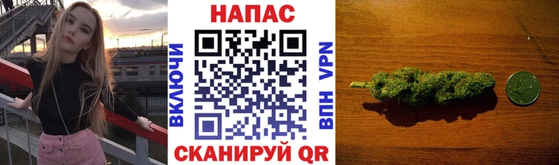 мега маркетплейс  как найти   Черняховск  Каннабис семена 