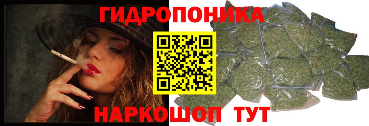 Конопля OG Kush Черняховск